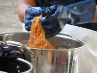 navajo tea-1.JPG
